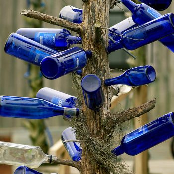 Bottle Tree, Hopsons Plantation, Clarksdale, MS