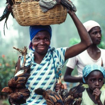 Woman carrying basket on head and chickens, Haiti