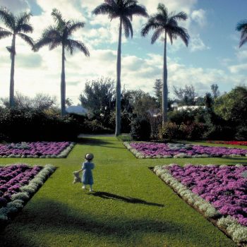 Young girl with Teddy bear in garden, Bermuda
