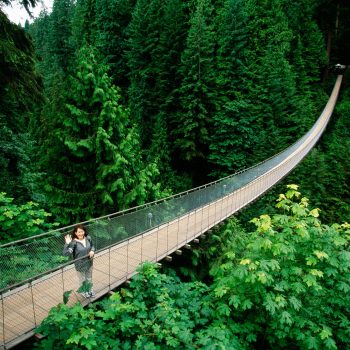 Swinging bridge, Vancouver, British Columbia, Canada